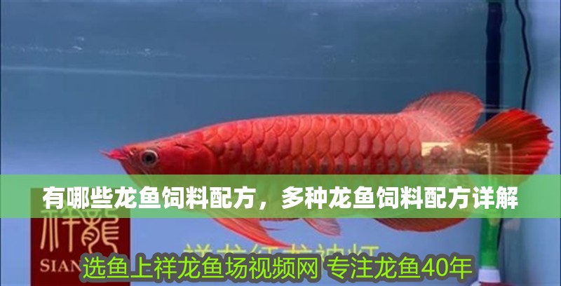 有哪些龍魚飼料配方，多種龍魚飼料配方詳解