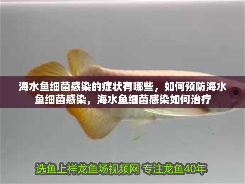海水魚細菌感染的癥狀有哪些，如何預防海水魚細菌感染，海水魚細菌感染如何治療