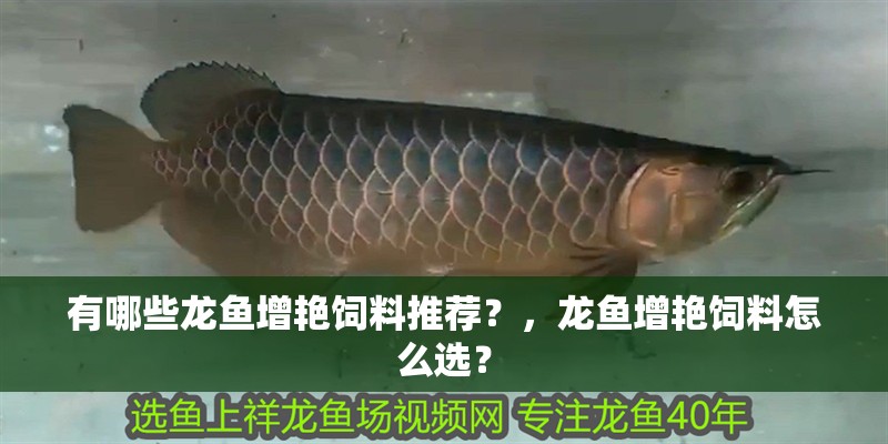 有哪些龍魚增艷飼料推薦？，龍魚增艷飼料怎么選？