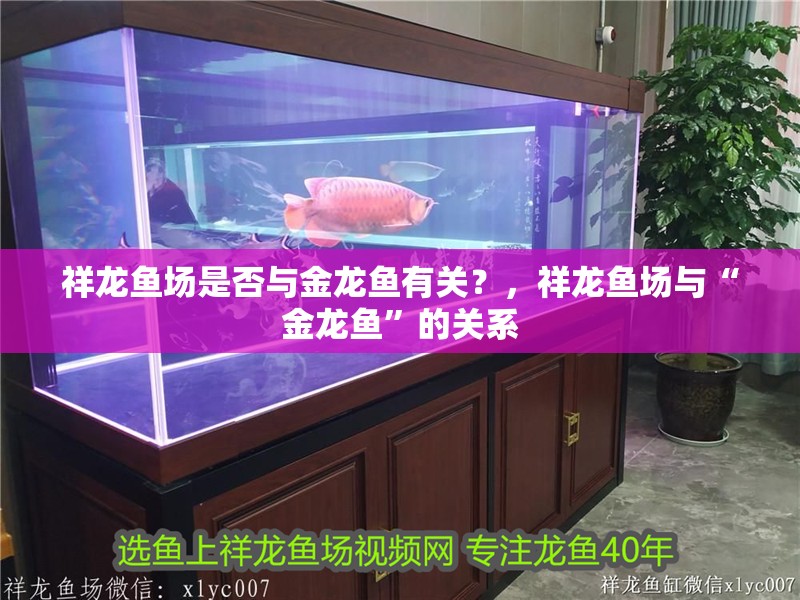 祥龍魚場是否與金龍魚有關(guān)？，祥龍魚場與“金龍魚”的關(guān)系