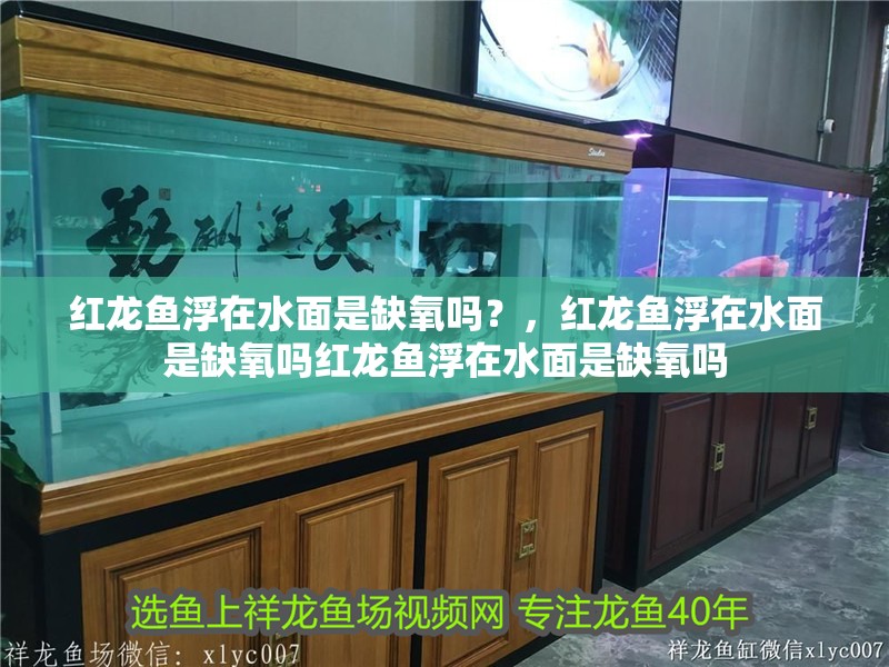 紅龍魚(yú)浮在水面是缺氧嗎？，紅龍魚(yú)浮在水面是缺氧嗎紅龍魚(yú)浮在水面是缺氧嗎