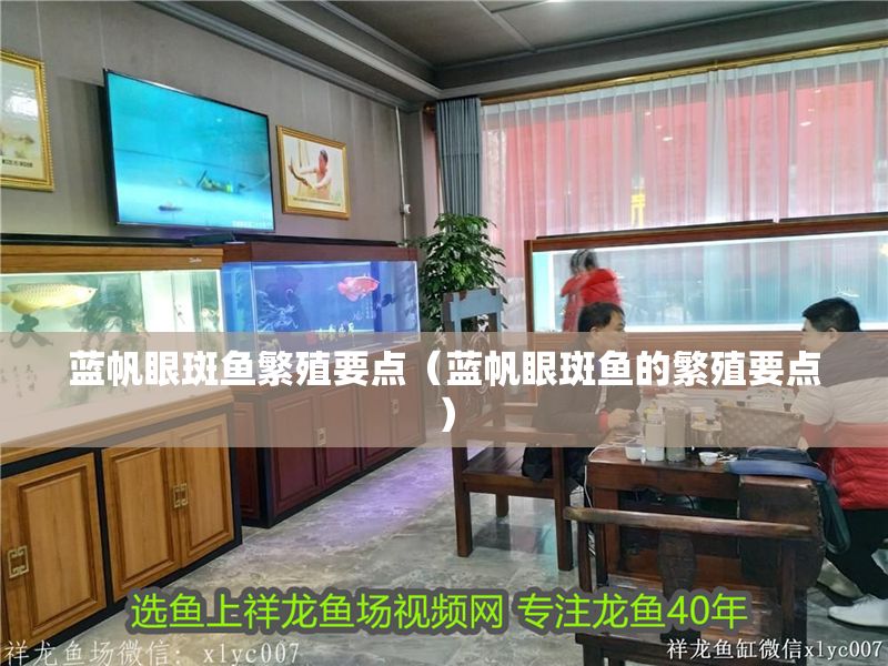 藍(lán)帆眼斑魚(yú)繁殖要點(diǎn)（藍(lán)帆眼斑魚(yú)的繁殖要點(diǎn)）