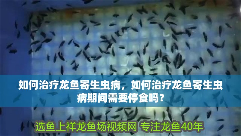 如何治療龍魚寄生蟲病，如何治療龍魚寄生蟲病期間需要停食嗎？