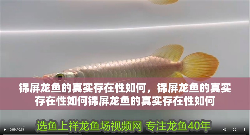 錦屏龍魚的真實存在性如何，錦屏龍魚的真實存在性如何錦屏龍魚的真實存在性如何