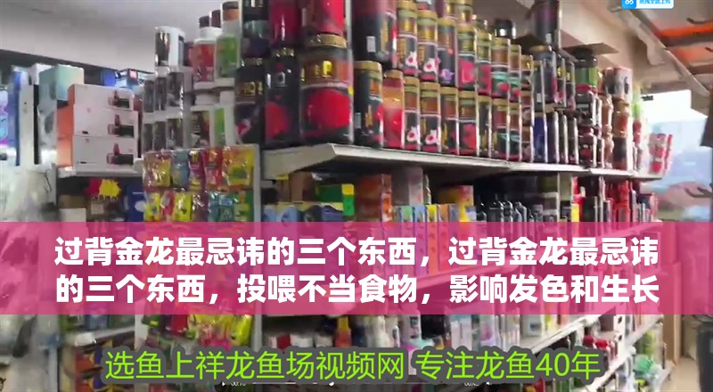 過背金龍最忌諱的三個東西，過背金龍最忌諱的三個東西，投喂不當食物，影響發色和生長