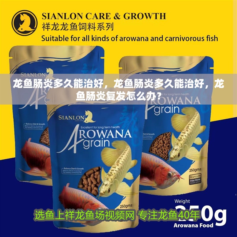 龍魚腸炎多久能治好，龍魚腸炎多久能治好，龍魚腸炎復發怎么辦？