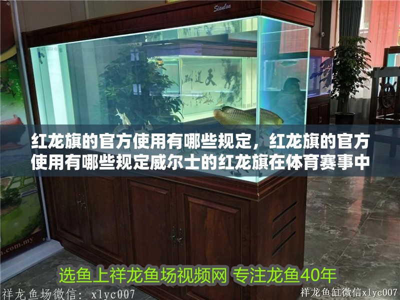 紅龍旗的官方使用有哪些規定，紅龍旗的官方使用有哪些規定威爾士的紅龍旗在體育賽事中的使用