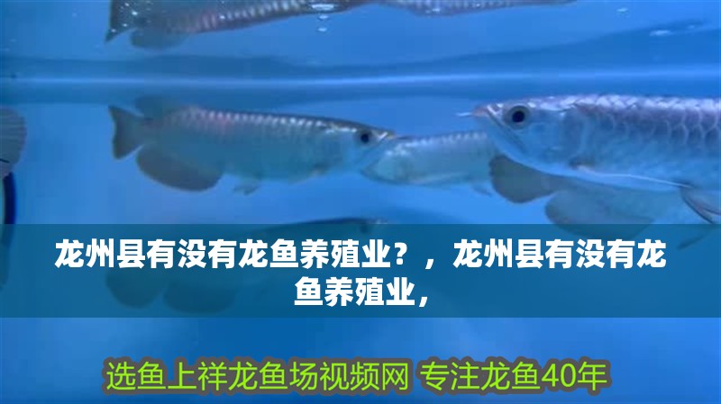 龍州縣有沒有龍魚養殖業？，龍州縣有沒有龍魚養殖業，