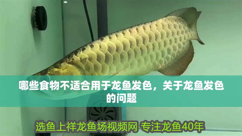 哪些食物不適合用于龍魚發(fā)色，關(guān)于龍魚發(fā)色的問題