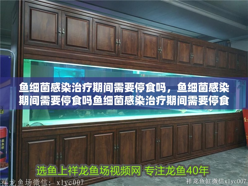 魚細(xì)菌感染治療期間需要停食嗎，魚細(xì)菌感染期間需要停食嗎魚細(xì)菌感染治療期間需要停食嗎