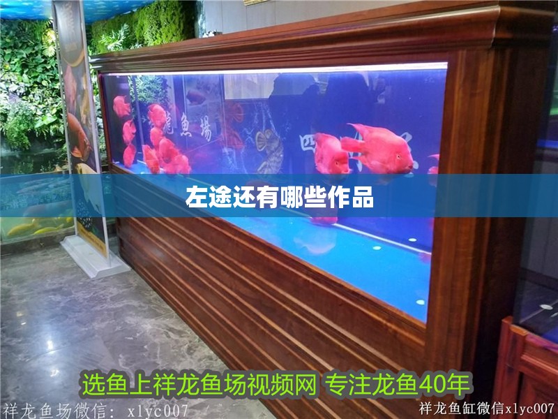 左途還有哪些作品