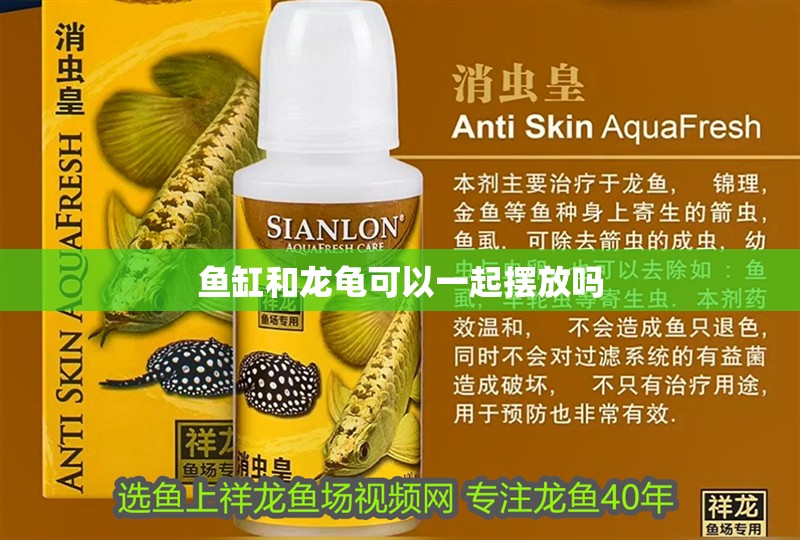 魚缸和龍龜可以一起擺放嗎