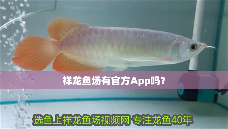 祥龍魚場有官方App嗎？