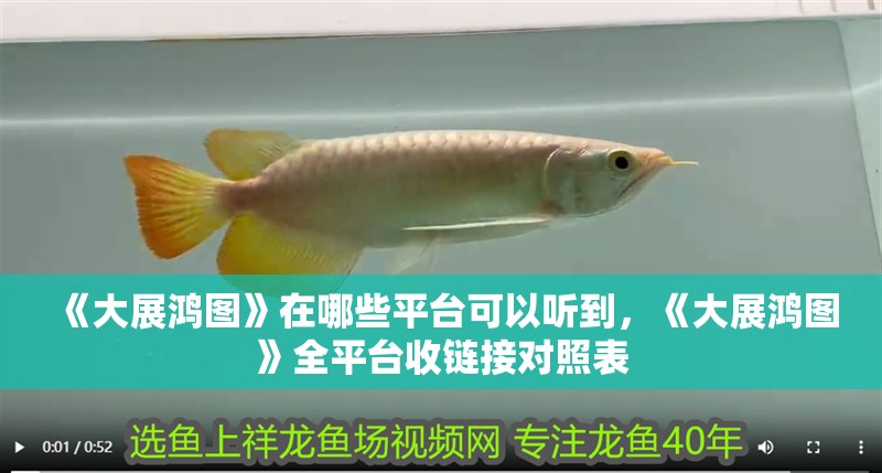 《大展鴻圖》在哪些平臺可以聽到，《大展鴻圖》全平臺收鏈接對照表