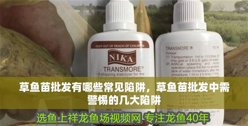 草魚苗批發(fā)有哪些常見陷阱，草魚苗批發(fā)中需警惕的幾大陷阱