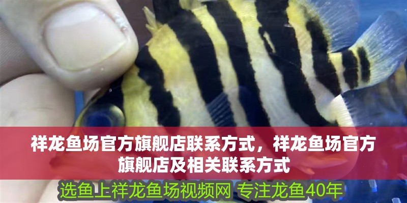 祥龍魚場官方旗艦店聯系方式，祥龍魚場官方旗艦店及相關聯系方式