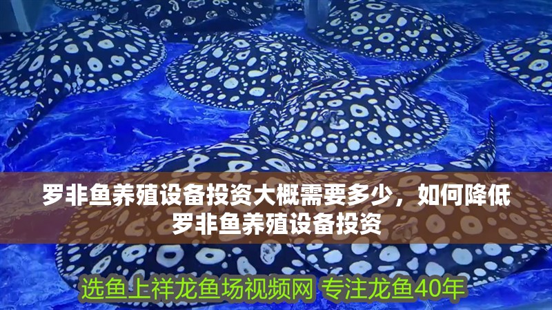 羅非魚養殖設備投資大概需要多少，如何降低羅非魚養殖設備投資