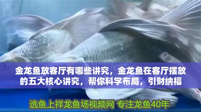 金龍魚放客廳有哪些講究，金龍魚在客廳擺放的五大核心講究，幫你科學布局，引財納福