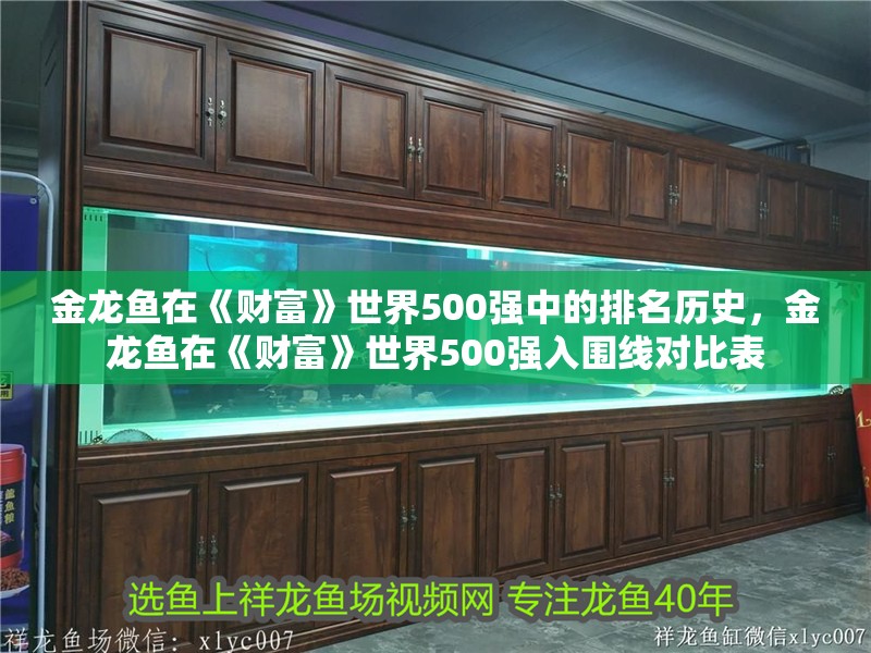 金龍魚在《財富》世界500強中的排名歷史，金龍魚在《財富》世界500強入圍線對比表