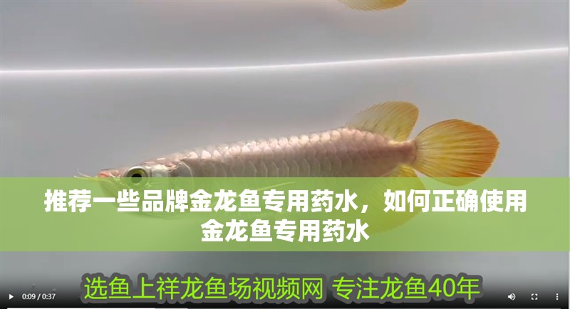推薦一些品牌金龍魚專用藥水，如何正確使用金龍魚專用藥水