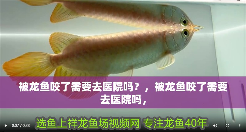 被龍魚咬了需要去醫院嗎？，被龍魚咬了需要去醫院嗎，