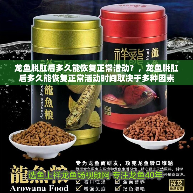龍魚脫肛后多久能恢復正常活動？，龍魚脫肛后多久能恢復正?；顒訒r間取決于多種因素