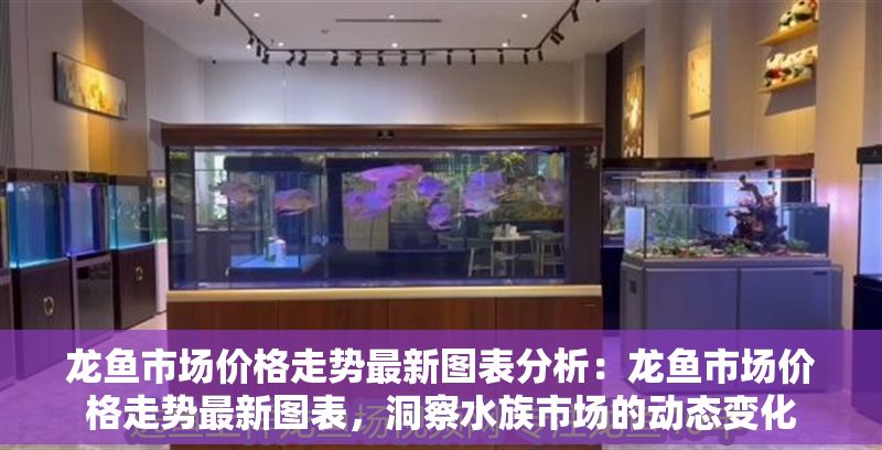 龍魚市場價格走勢最新圖表分析：龍魚市場價格走勢最新圖表，洞察水族市場的動態變化