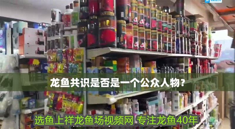 龍魚共識是否是一個公眾人物？