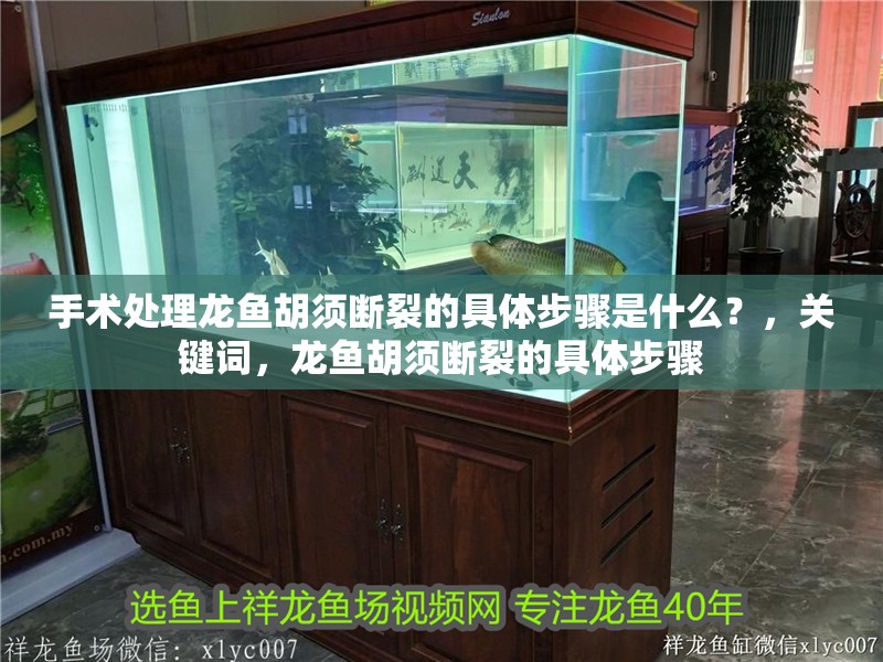 手術(shù)處理龍魚胡須斷裂的具體步驟是什么？，關(guān)鍵詞，龍魚胡須斷裂的具體步驟