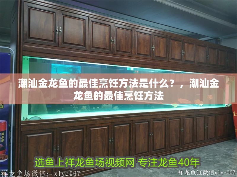 潮汕金龍魚的最佳烹飪方法是什么？，潮汕金龍魚的最佳烹飪方法