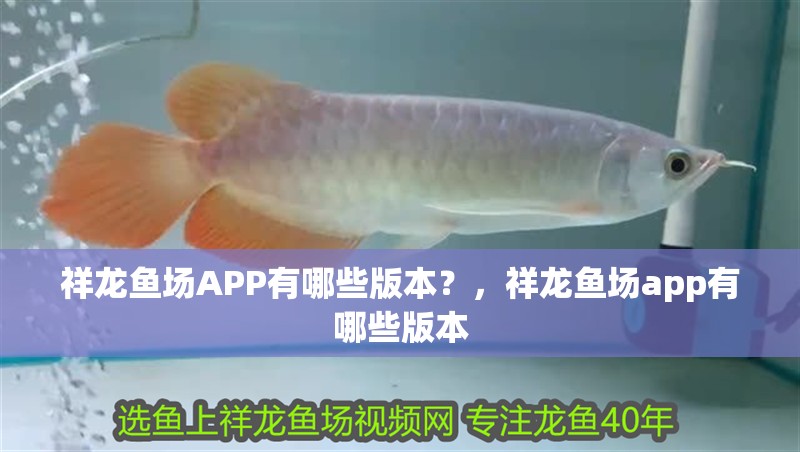 祥龍魚場APP有哪些版本？，祥龍魚場app有哪些版本