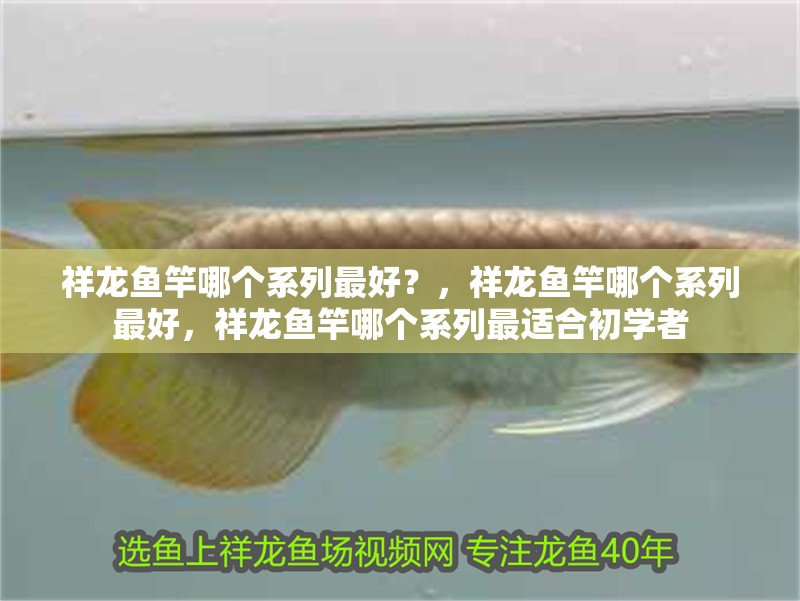 祥龍魚竿哪個系列最好？，祥龍魚竿哪個系列最好，祥龍魚竿哪個系列最適合初學者