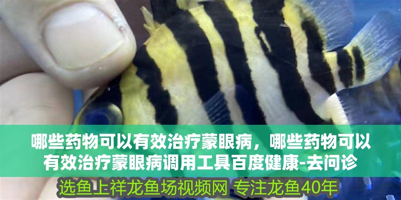 哪些藥物可以有效治療蒙眼病，哪些藥物可以有效治療蒙眼病調(diào)用工具百度健康-去問診