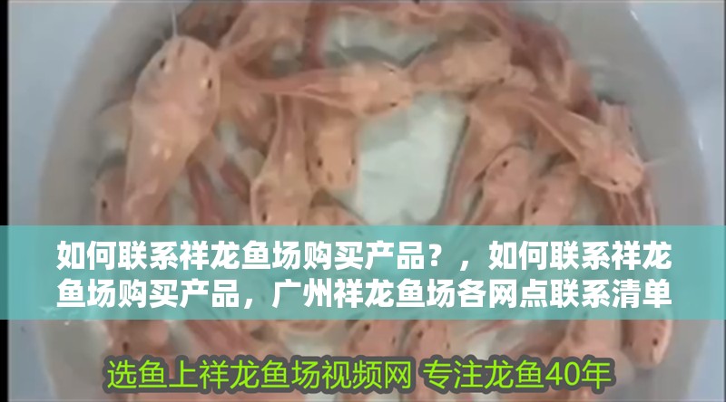 如何聯系祥龍魚場購買產品？，如何聯系祥龍魚場購買產品，廣州祥龍魚場各網點聯系清單