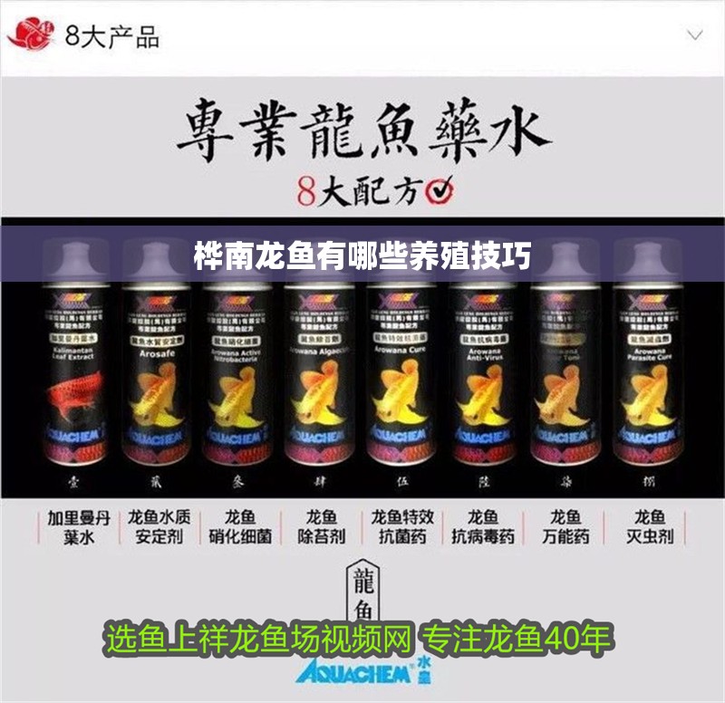 樺南龍魚有哪些養(yǎng)殖技巧