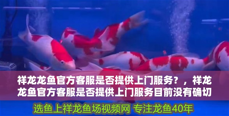 祥龍龍魚官方客服是否提供上門服務(wù)？，祥龍龍魚官方客服是否提供上門服務(wù)目前沒有確切的答案