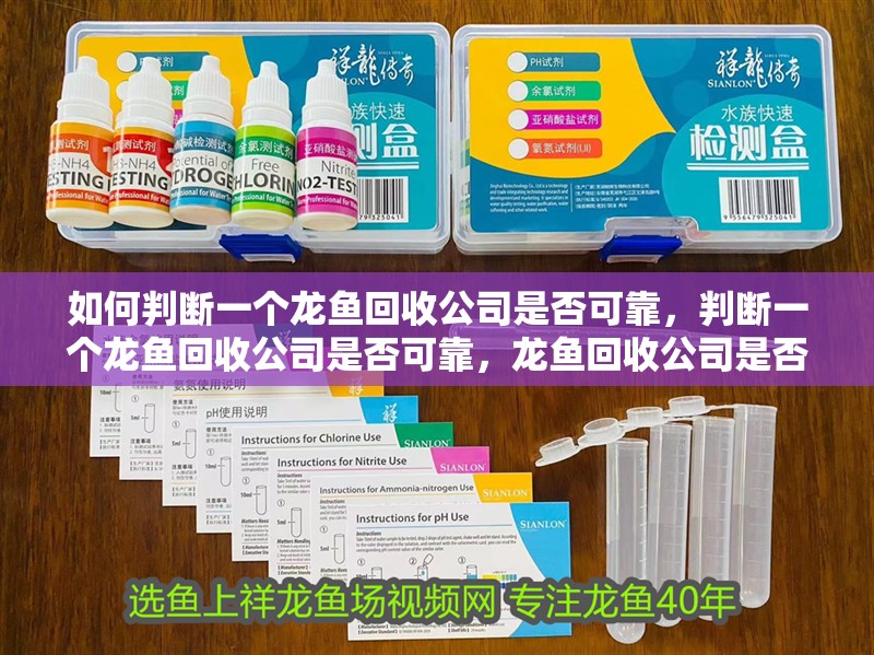 如何判斷一個龍魚回收公司是否可靠，判斷一個龍魚回收公司是否可靠，龍魚回收公司是否可靠