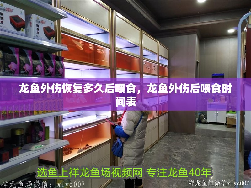 龍魚外傷恢復多久后喂食，龍魚外傷后喂食時間表