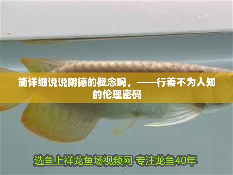 能詳細說說陰德的概念嗎，——行善不為人知的倫理密碼