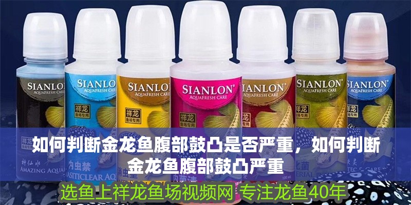 如何判斷金龍魚腹部鼓凸是否嚴重，如何判斷金龍魚腹部鼓凸嚴重