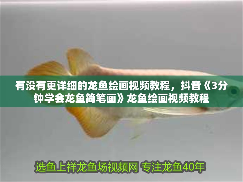 有沒有更詳細的龍魚繪畫視頻教程，抖音《3分鐘學會龍魚簡筆畫》龍魚繪畫視頻教程