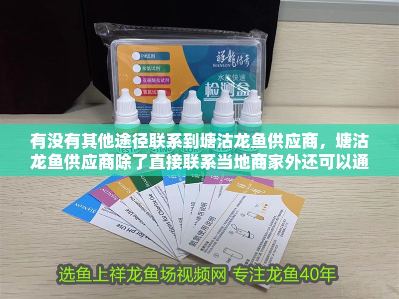 有沒有其他途徑聯(lián)系到塘沽龍魚供應(yīng)商，塘沽龍魚供應(yīng)商除了直接聯(lián)系當(dāng)?shù)厣碳彝膺€可以通過以下幾種途徑尋找