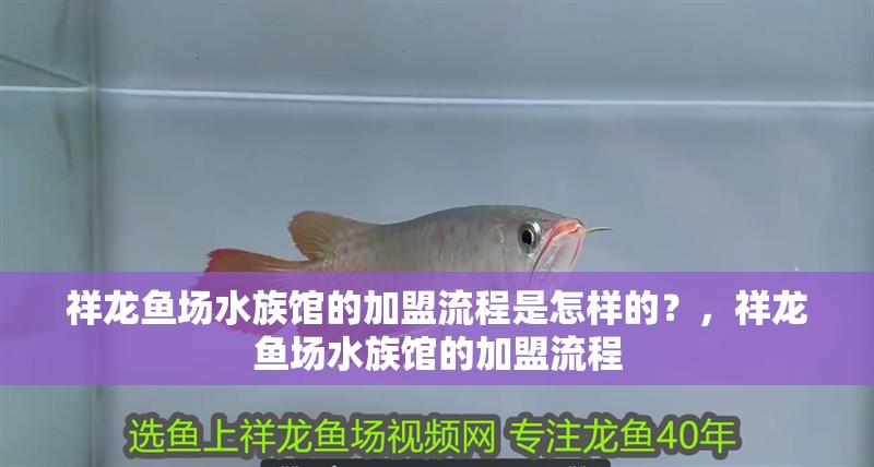 祥龍魚場水族館的加盟流程是怎樣的？，祥龍魚場水族館的加盟流程