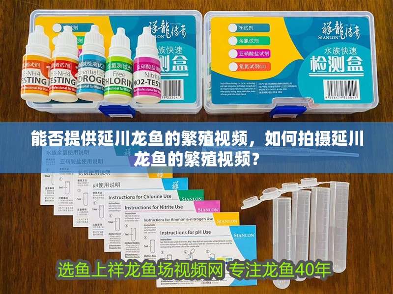 能否提供延川龍魚的繁殖視頻，如何拍攝延川龍魚的繁殖視頻？