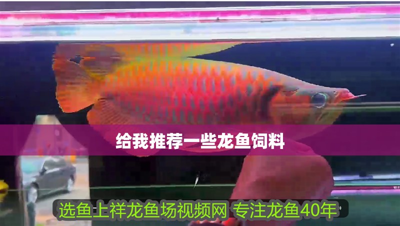 給我推薦一些龍魚飼料