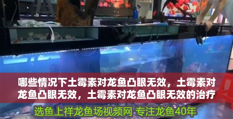 哪些情況下土霉素對龍魚凸眼無效，土霉素對龍魚凸眼無效，土霉素對龍魚凸眼無效的治療方案