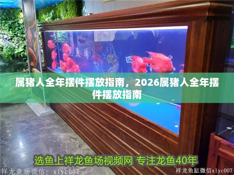屬豬人全年擺件擺放指南，2026屬豬人全年擺件擺放指南