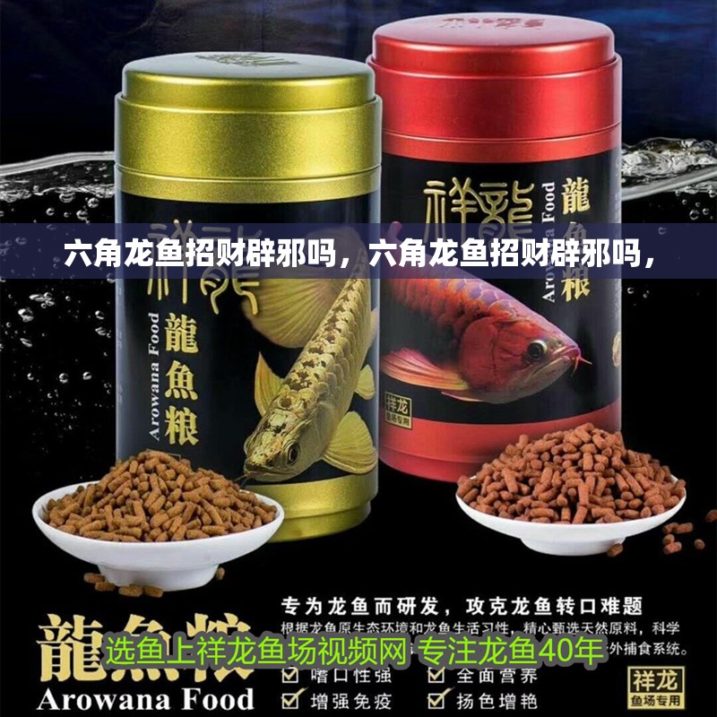 六角龍魚招財辟邪嗎，六角龍魚招財辟邪嗎，