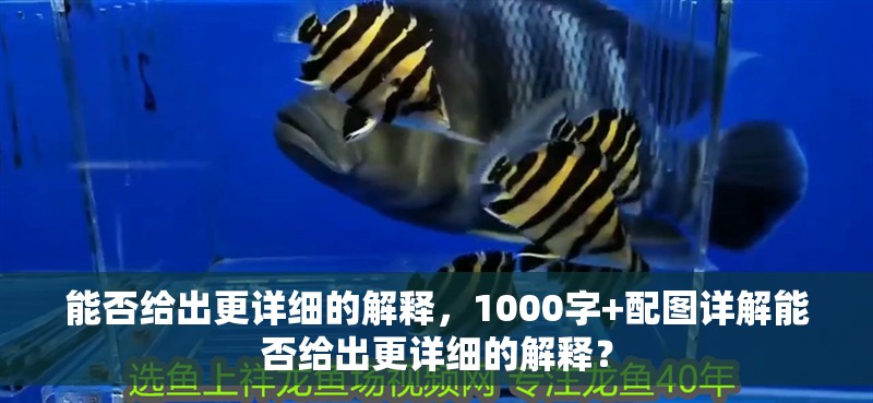 能否給出更詳細(xì)的解釋，1000字+配圖詳解能否給出更詳細(xì)的解釋？