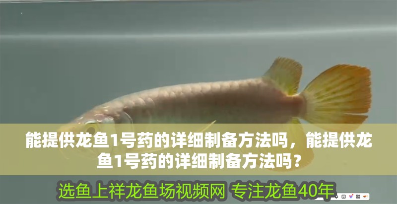 能提供龍魚1號(hào)藥的詳細(xì)制備方法嗎，能提供龍魚1號(hào)藥的詳細(xì)制備方法嗎？